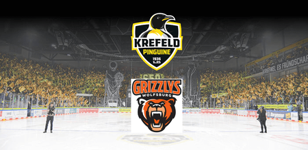 Krefeld Pinguine vs. Grizzlys Wolfsburg - Spieltag 18