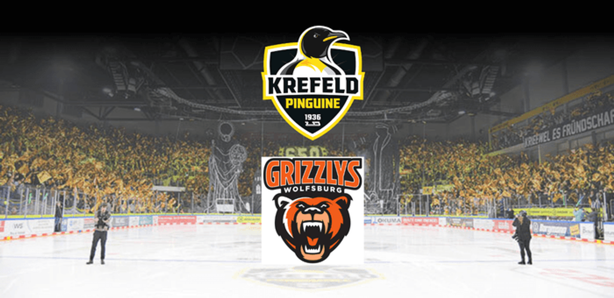 Titelbild der Veranstaltung Krefeld Pinguine vs. Grizzlys Wolfsburg - Spieltag 18