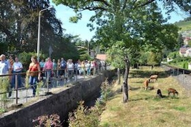Exklusive Weinwanderung mit Speis und Trank