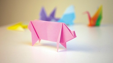 Schwein gehabt!