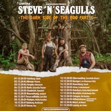 STEVE 'N' SEAGULLS