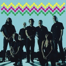 Sonido Gallo Negro
