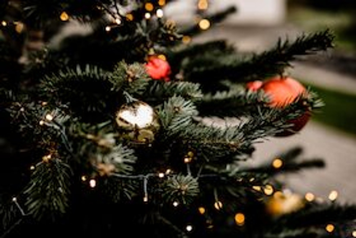 Heiligabend-Weihnachtsessen