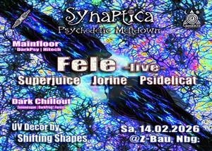 Synaptica – Psychedelic Meltdown