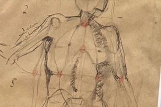 Zeichenkurs Anatomie: "Gesture Studies"