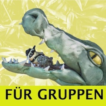 Der Billabongkönig
