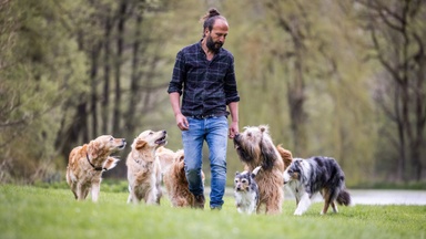 Sami El Ayachi - Der zugewandte Hund!