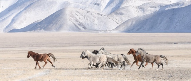 Reise-Vortrag: Kirgistan