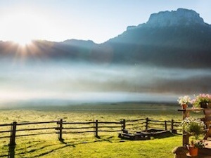 Frühlingswanderung ins Röthelmoos