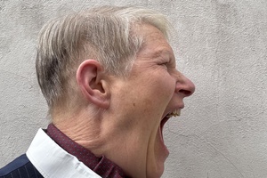 Antonia Baehr: Schreien (SCREAMING) – Eine Forschungsreihe