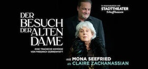 Der Besuch der alten Dame