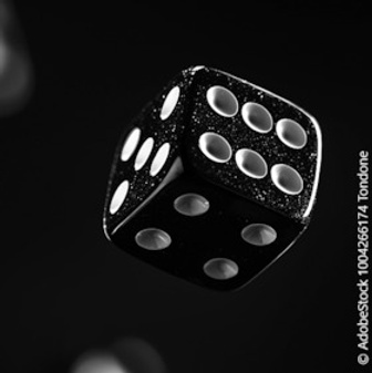 SpielFreudePur