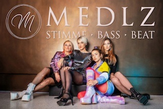 MEDLZ: Die 90er