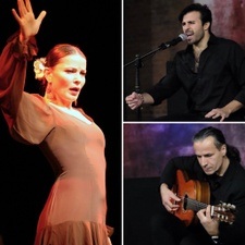 Cuadro Flamenco ¡AnDa!nzas