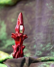 BLITZ w/ Loidis, Margaret Dygas, Stenny.