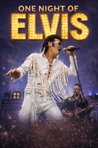 ONE NIGHT OF ELVIS