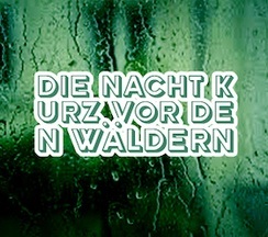 Die Nacht kurz vor den Wäldern
