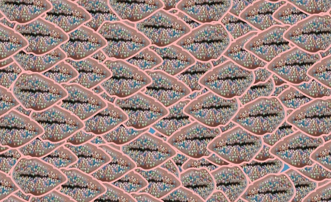 Tülvistas: Zuckerwatte in Echt