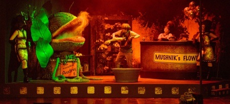 Der kleine Horrorladen