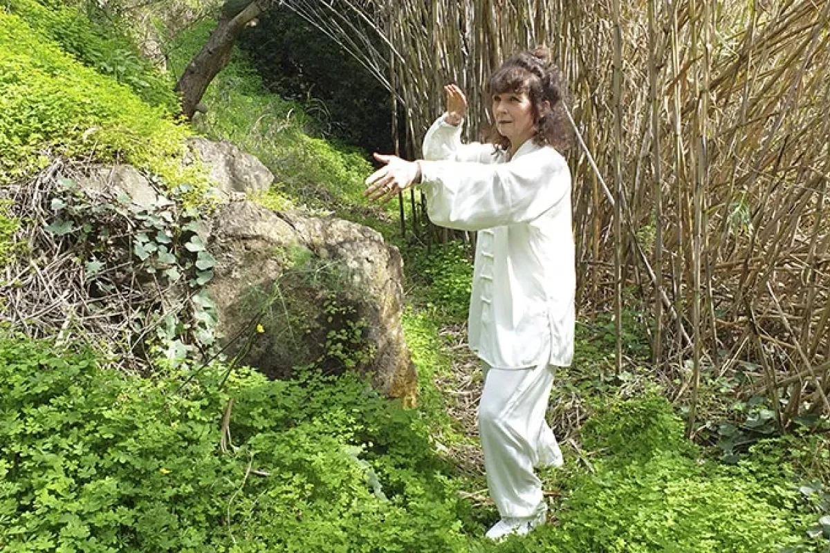 Titelbild der Veranstaltung Seminar: Tai Chi Chuan