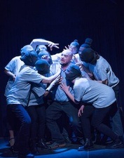 Gut und Edel: Die Nashörner