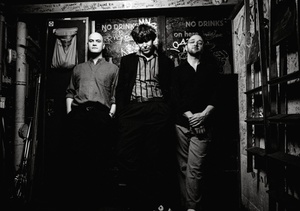 ANSA SAUERMANN TRIO - Keine Weiteren Fragen 2027