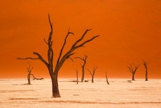 Namibia - Die Schönheit Afrikas