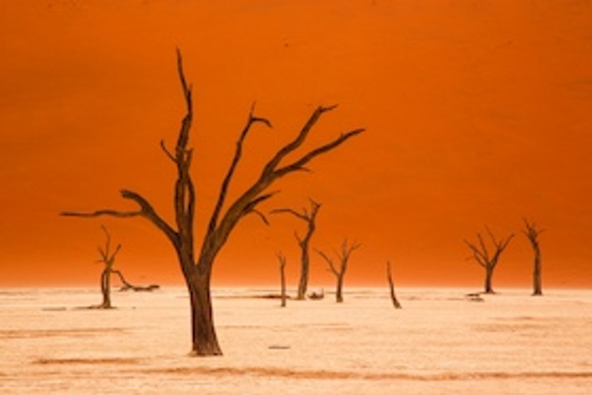 Namibia - Die Schönheit Afrikas