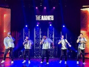 The Magnets