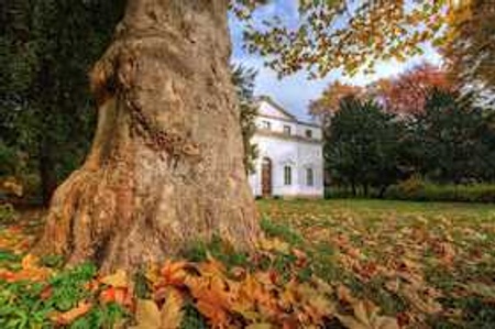 Auf den Spuren von Paul Klee