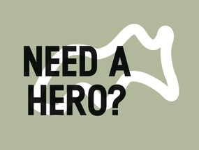 Need a Hero?