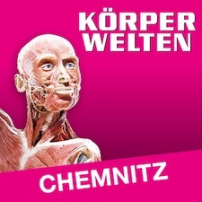 KÖRPERWELTEN | Chemnitz | Zeitfensterticket