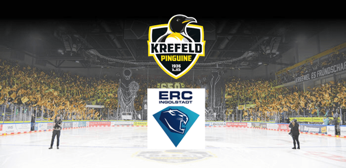 Titelbild der Veranstaltung Krefeld Pinguine vs. ERC Ingolstadt - Spieltag 44