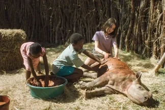 spunk - Kino für Kinder: Thabo - Das Nashorn-Abenteuer
