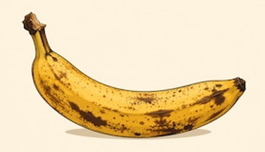Ausgerechnet Bananen