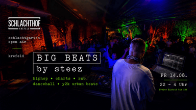 BIG BEATS by STEEZ