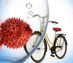 Fisch sucht Fahrrad