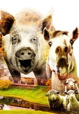 farm der tiere – das musical