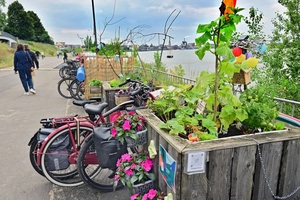 Gemeinsam Genießen, Tauschen, Gestalten – Mitmachsonntag an der Rhine Side
