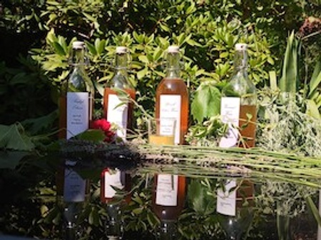 Sächsischer Wein und Weinelexiere