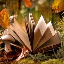 Kindertheater - Schneewittchen und die 7 Zwerge