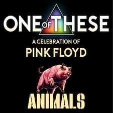 One Of These – A Celebration of Pink Floyd