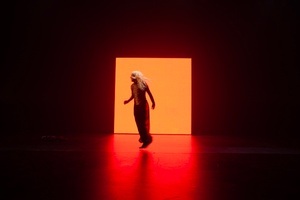 Louise Lecavalier: danses vagabondes