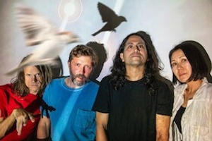 DEERHOOF