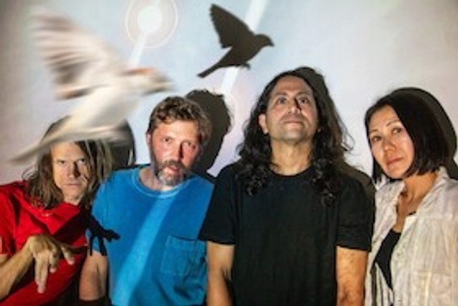 DEERHOOF