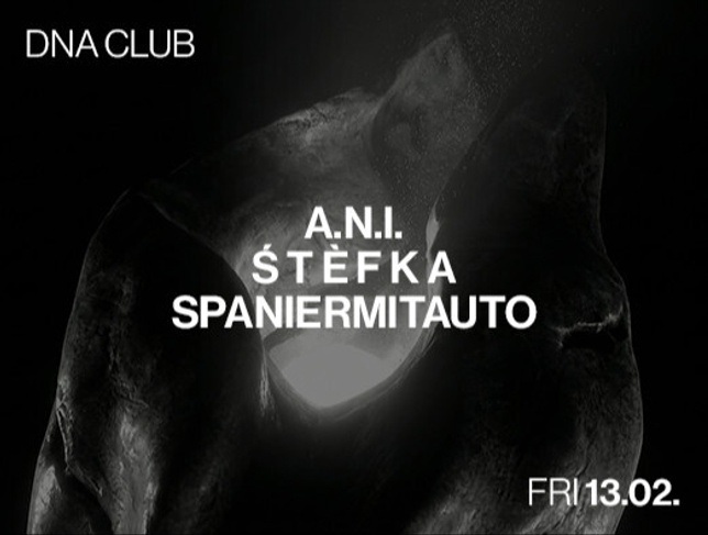 A.N.I., Stefka, SpanierMitAuto