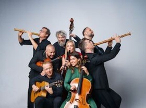 Wildes Holz & Spark