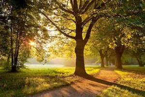 Kurparkführung Bad Krozingen mit Gärtnerin Alexia Putzger