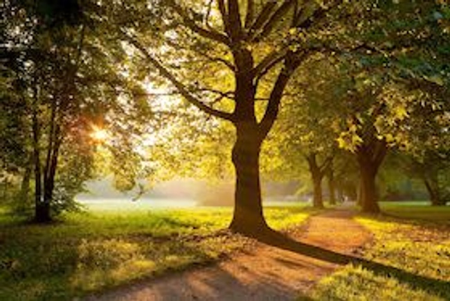 Kurparkführung Bad Krozingen mit Gärtnerin Alexia Putzger