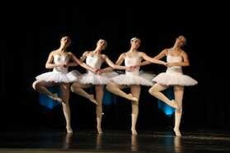 Ballett Gala - 2. Akt. Schwanensee